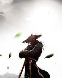 黑骑士人格综合症 黑骑士人格综合症